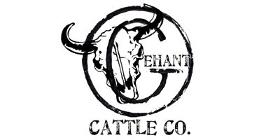 Gehant Cattle